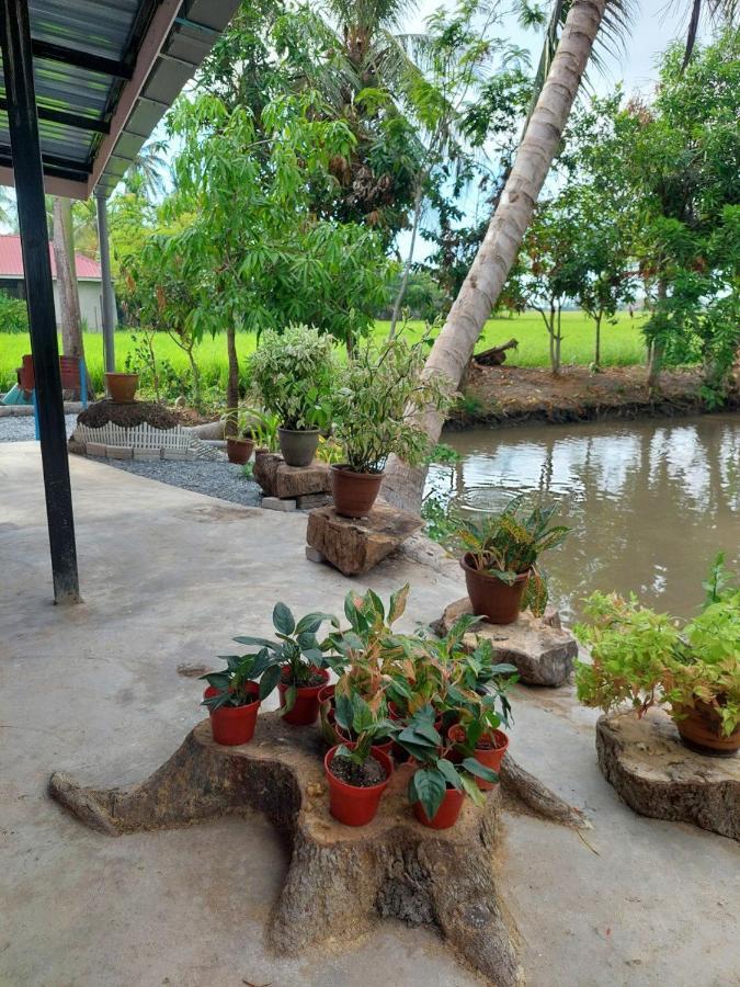 Pink Homestay D'Perlis Kangar Exterior foto