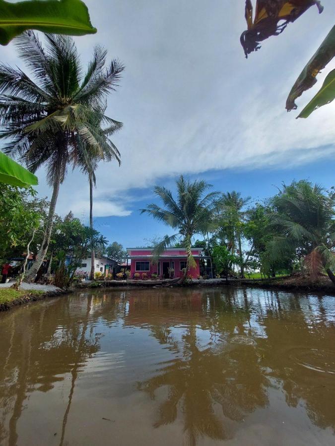 Pink Homestay D'Perlis Kangar Exterior foto